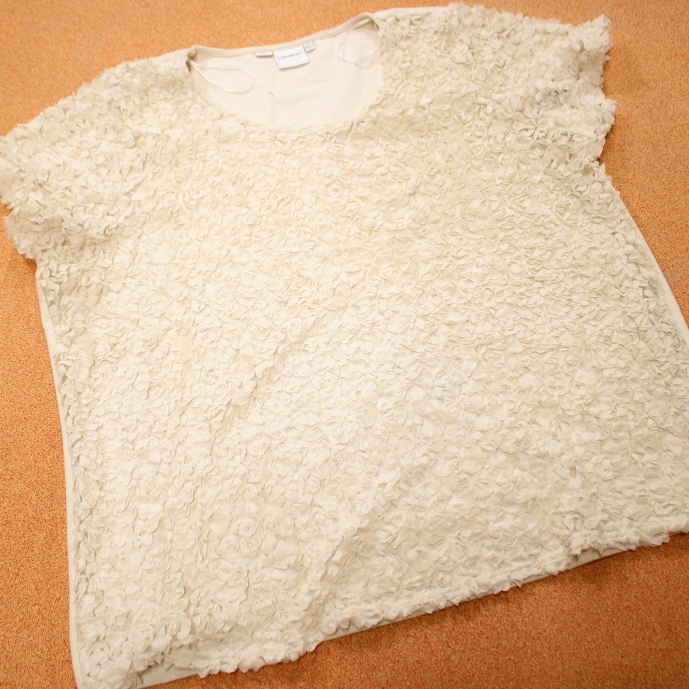 Romantic Whimsical 3D Petal Applique Blouse 3X Cream Fairycore Coquette Top